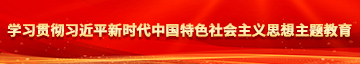 大B色网学习贯彻习近平新时代中国特色社会主义思想主题教育